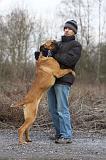 ADULTE ET CHIEN 133
